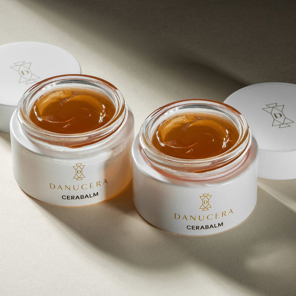 Three Years of Cerabalm: The Beginning of a Legacy